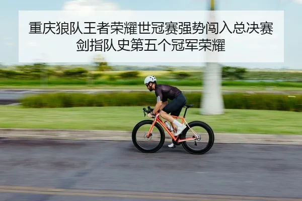 重庆狼队王者荣耀世冠赛强势闯入总决赛 剑指队史第五个冠军荣耀